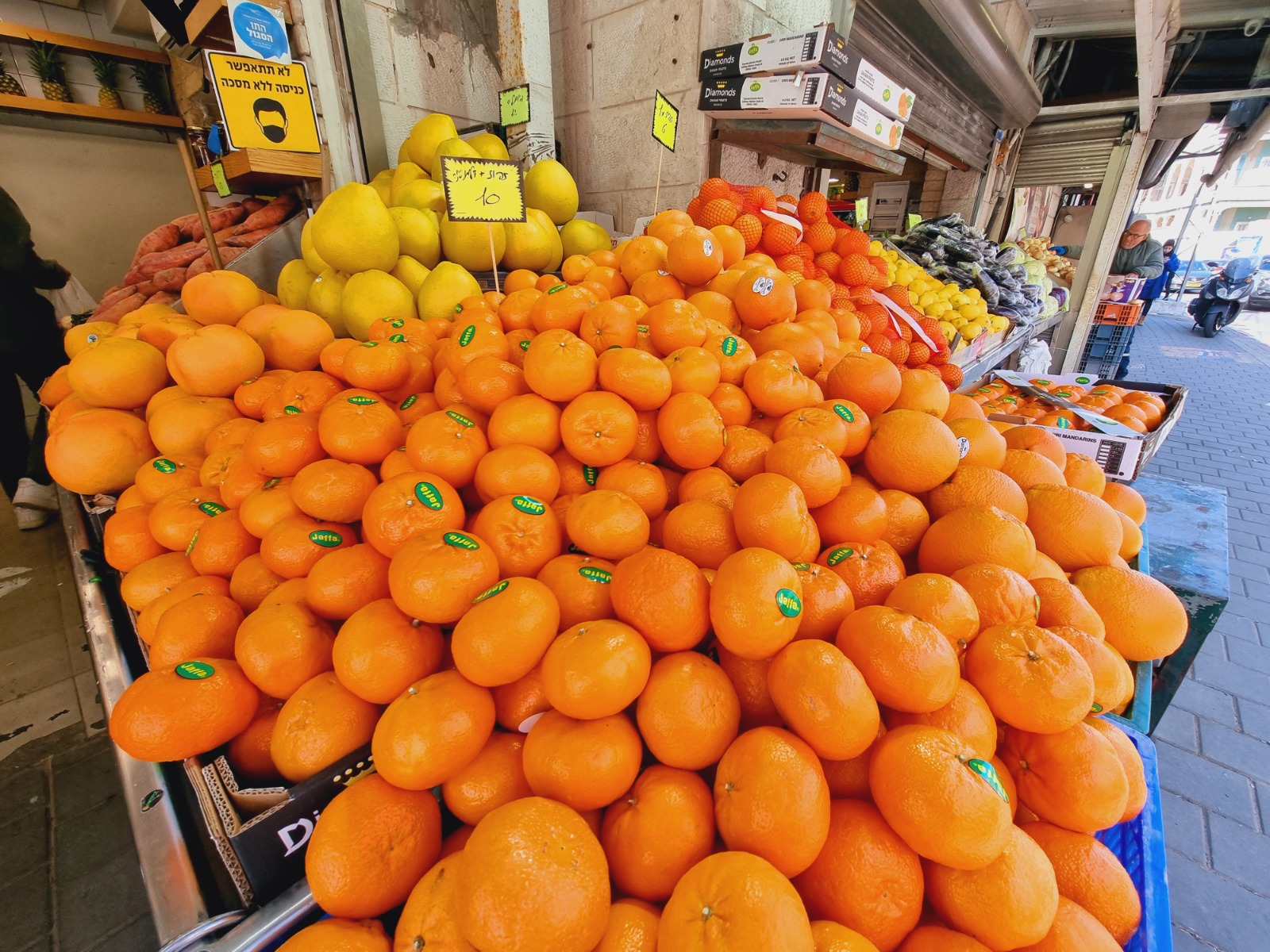 WhatsApp Image 2022-03-29 at 1.24.10 PM.jpeg